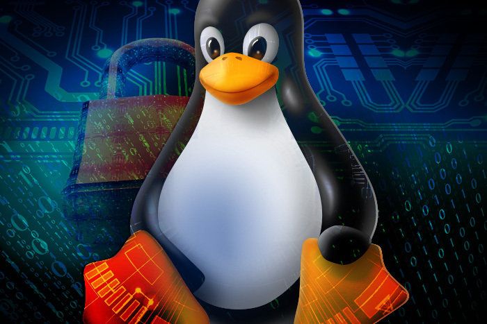 En iyi Linux VPN programı kullanmak