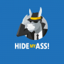 HideMyAss